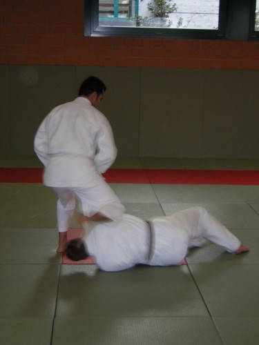 Judo: Ude Hishigi Juji Gatame (Carlos)