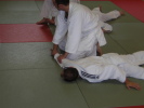 Ju-Jitsu: Ude Hishigi Te Gatame (Romano)